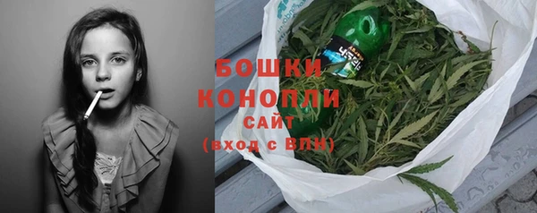 индика Волоколамск