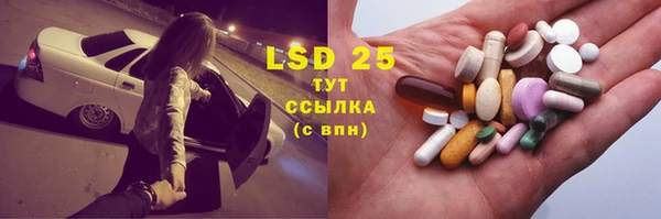 шишки Верхний Тагил