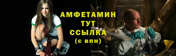 ГАЛЛЮЦИНОГЕННЫЕ ГРИБЫ Верея