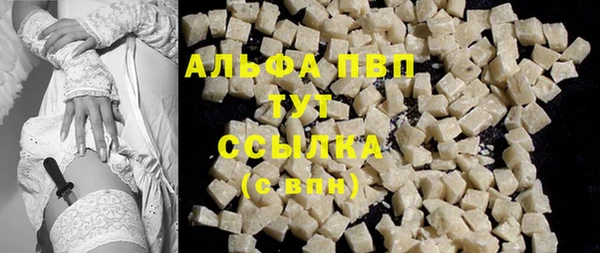 шишки Верхний Тагил