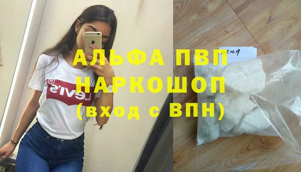 шишки Верхний Тагил
