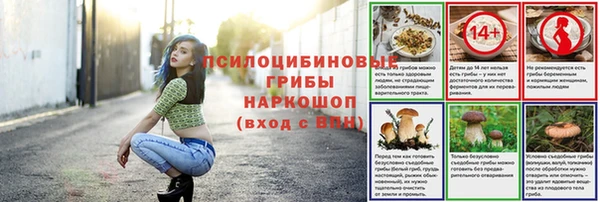 ГАЛЛЮЦИНОГЕННЫЕ ГРИБЫ Верея