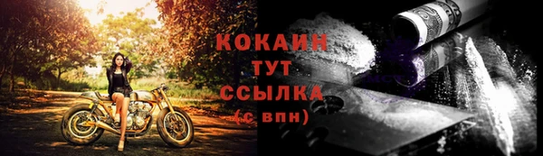 СК Ветлуга
