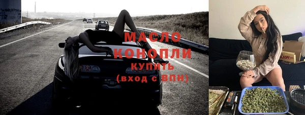 шишки Верхний Тагил